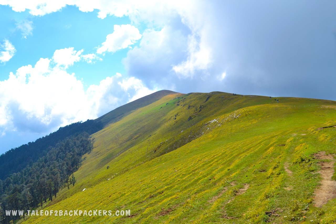 Ali Bugyal_meadow of Uttarakhand