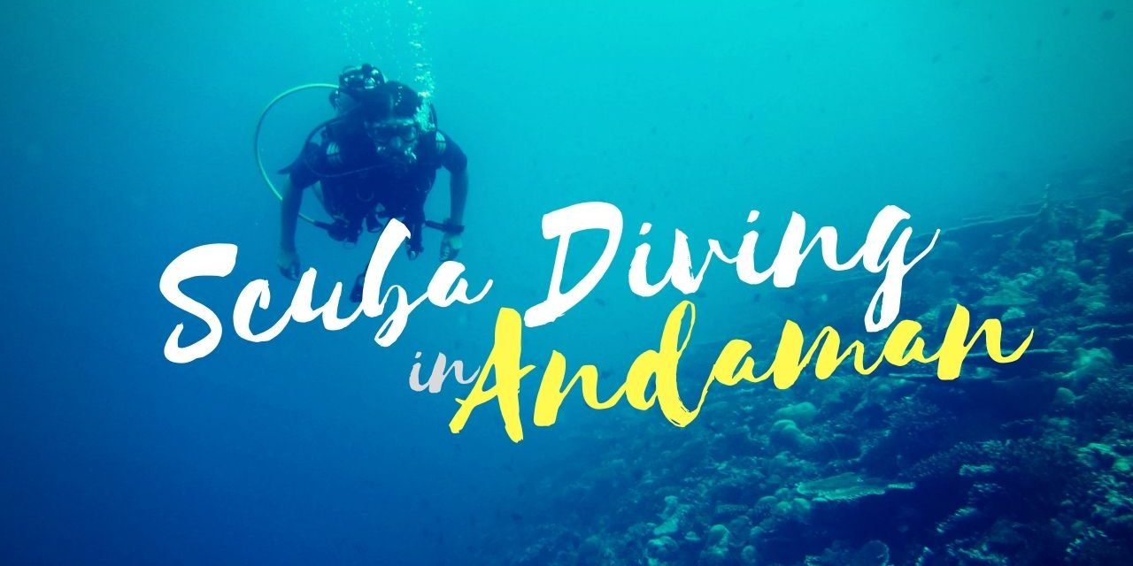 Let the sea set you free – Scuba Diving at Andamans