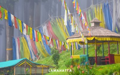 Lamahatta – how eco-tourism can change a place