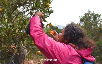 Sitong – The Orange Village