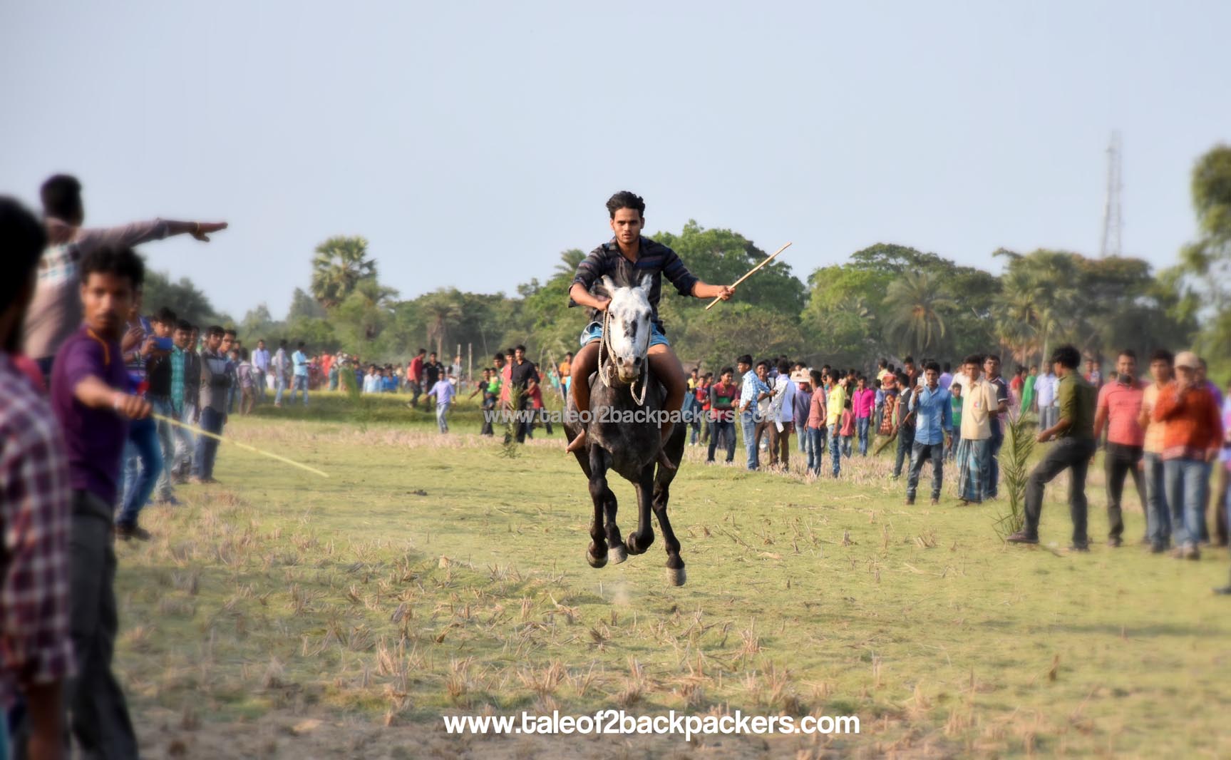 Horse Race at Jatar Deul
