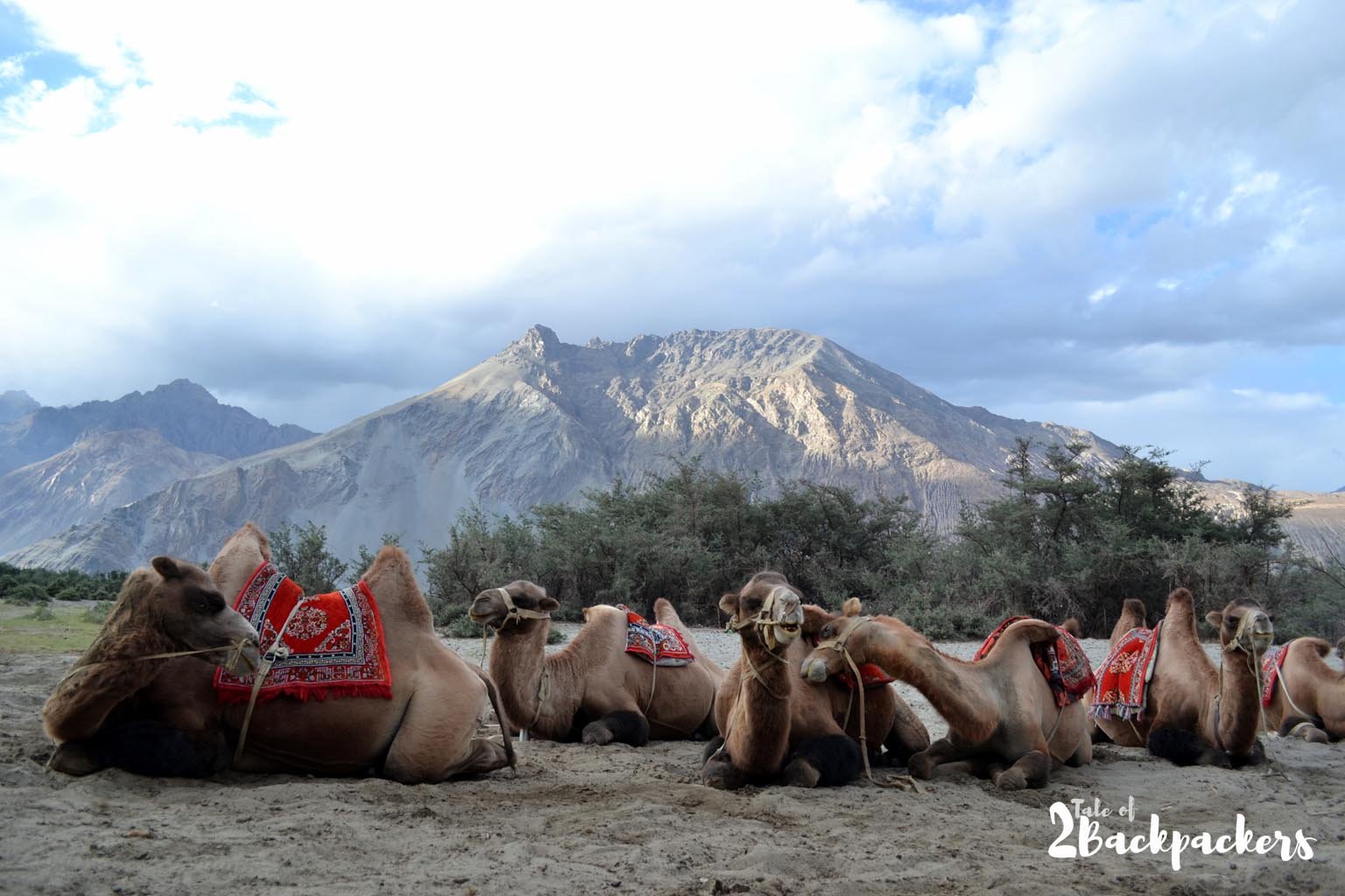 Ladakh Travel Guide