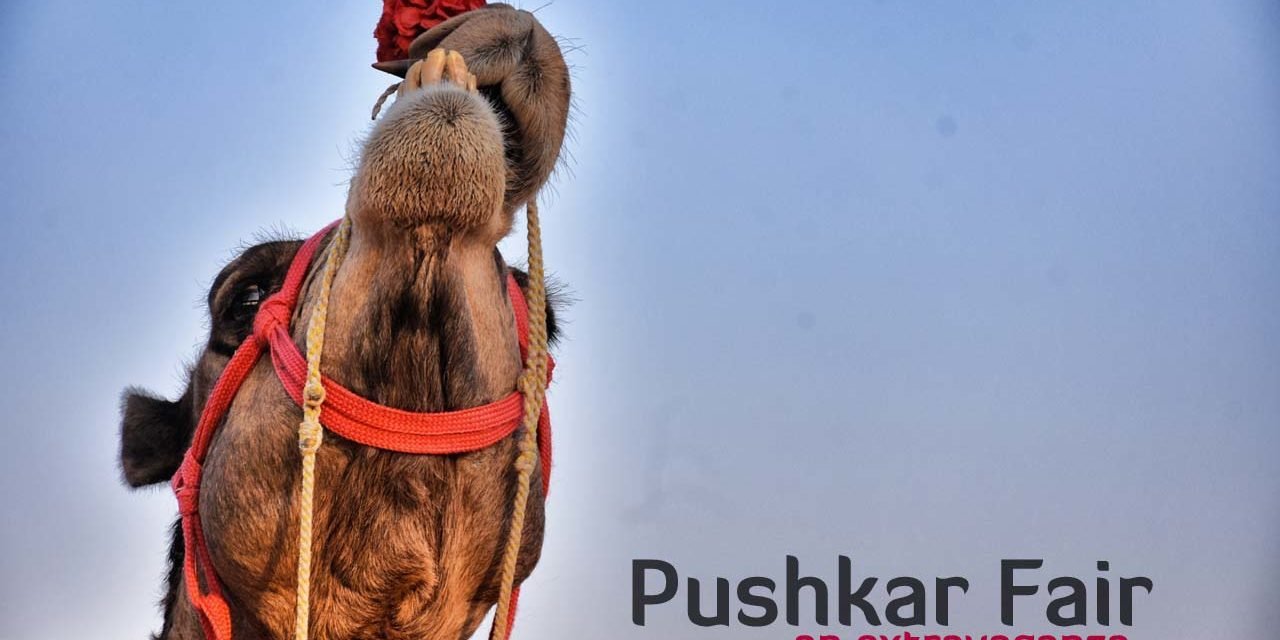 Pushkar Fair – An extravaganza