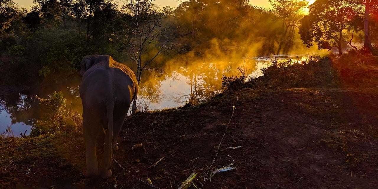 Manas Maozigendri Ecotourism society – from poachers to protectors