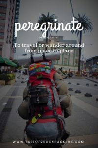 travel words with beautiful meanings-peregrinate