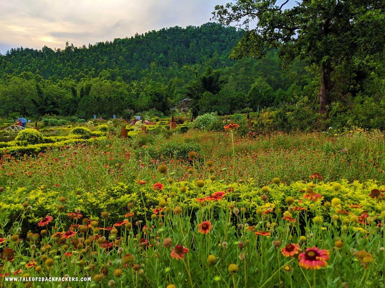 Butterfly Garden, Daringbadi tour