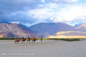 Nubra Valley on Ladakh bike trip