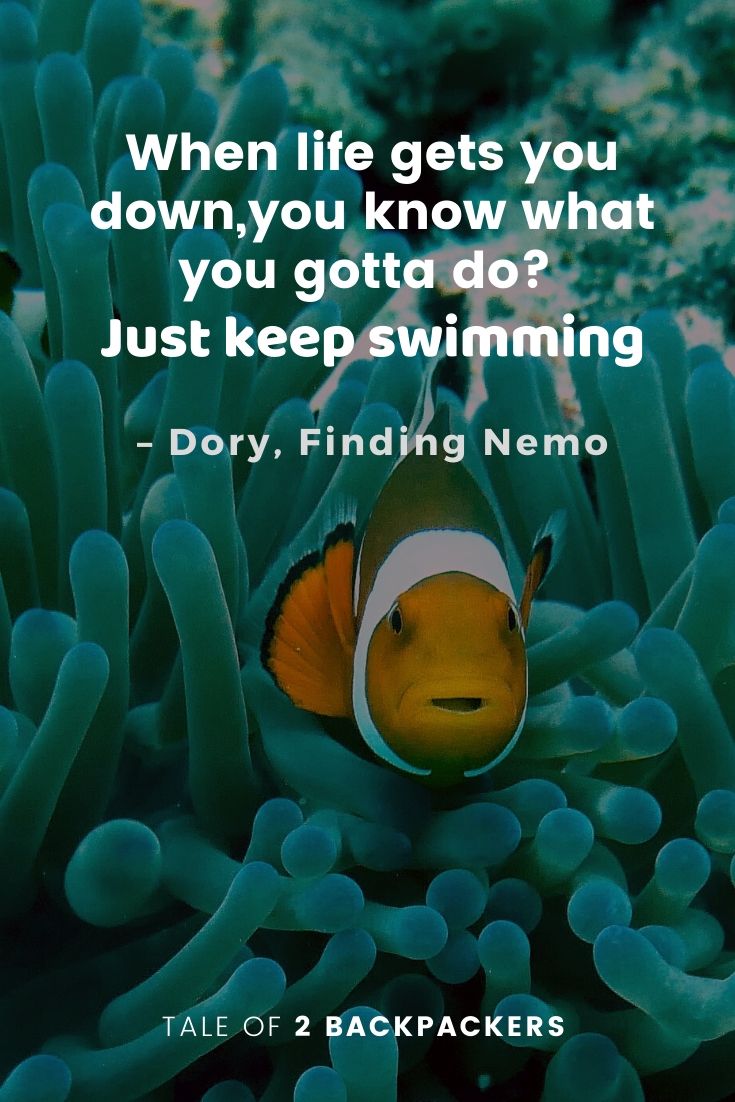 Adventure Quotes from Movies - Finding Nemo
