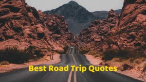Best Road Trip Quotes