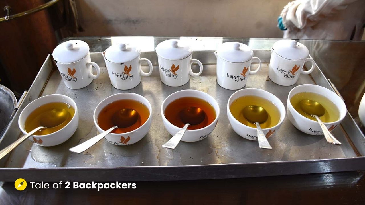 Darjeeling Tea - Indian souvenirs