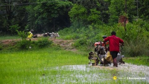 Bangriposi, of Rains, Novels and Buribalam | Tale of 2 Backpackers