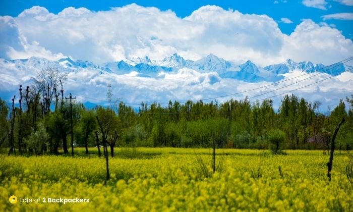 Landscape of Kashmir