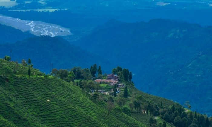 Tea gardens and plains from Mahaldiram