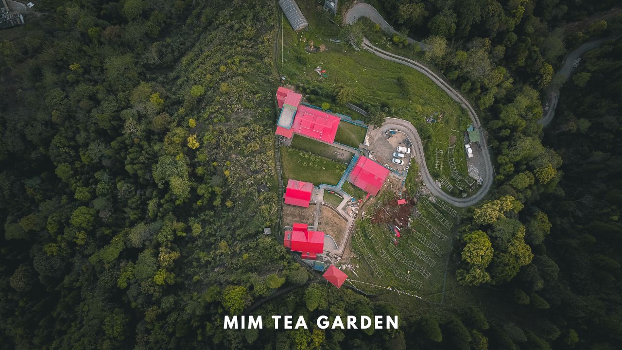 Little Forest Homestay at Mim Tea Garden