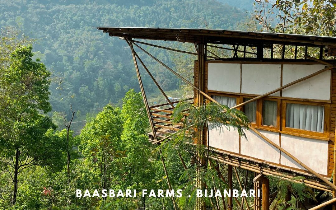 Baasbari Farms, Bijanbari – An Alternative Stay near Darjeeling