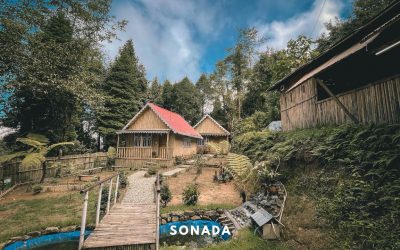 Sonada – An Offbeat and Relaxing Getaway near Darjeeling