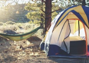 Camping in the Wilderness