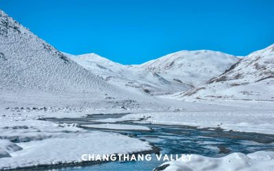 A Trip to Changthang Valley in Ladakh and a Failed one to Tso Moriri