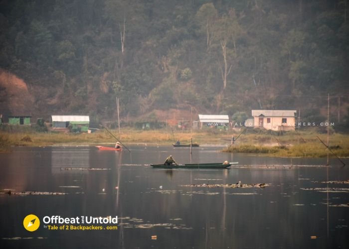 Local islands at Loktak Lake