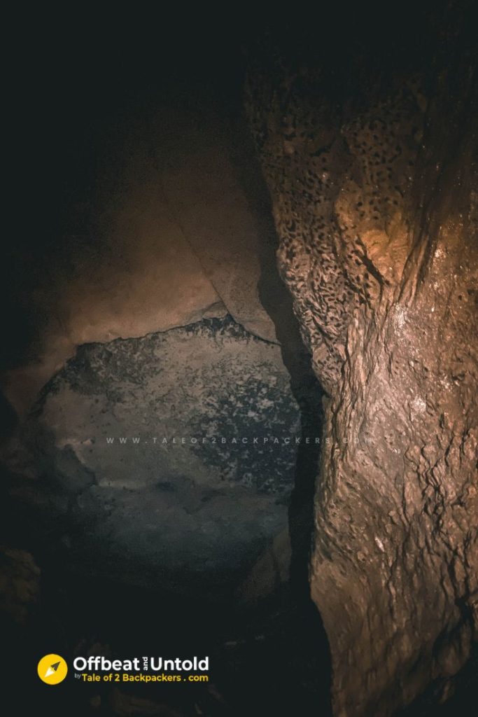 Bats inside Siju Cave, Meghalaya